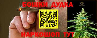 прущие грибы Жуковский