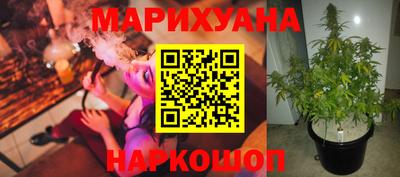 прущие грибы Жуковский