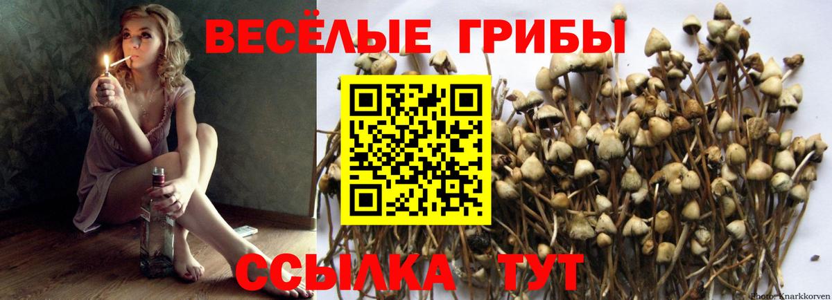 Галлюциногенные грибы мухоморы Лянтор