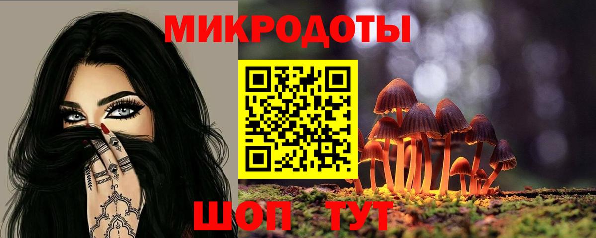 Псилоцибиновые грибы Psilocybine cubensis  Вход с VPN  Лянтор 